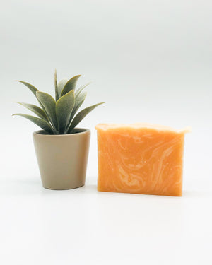 Orange Peel Soap Bar